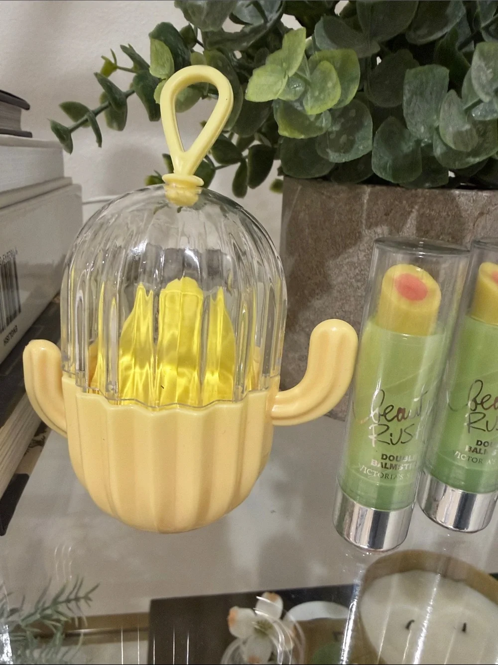 Cactus Make Up Sponge and Lip Balm Set